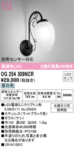 オーデリック（ODELIC）ポーチライト OG254309NCR
