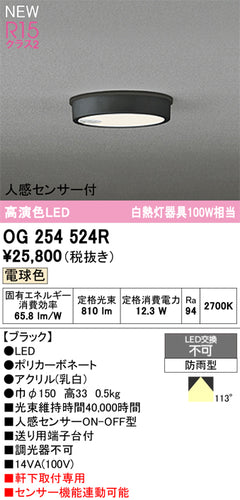 オーデリック（ODELIC）屋外灯 OG254524R