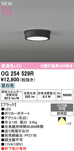 オーデリック（ODELIC）屋外灯 OG254529R
