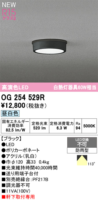 オーデリック（ODELIC）屋外灯 OG254529R