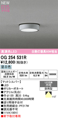 オーデリック（ODELIC）屋外灯 OG254531R