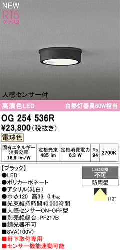 オーデリック（ODELIC）屋外灯 OG254536R