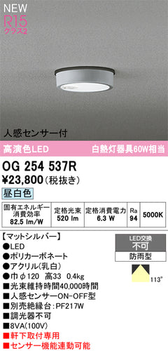 オーデリック（ODELIC）屋外灯 OG254537R