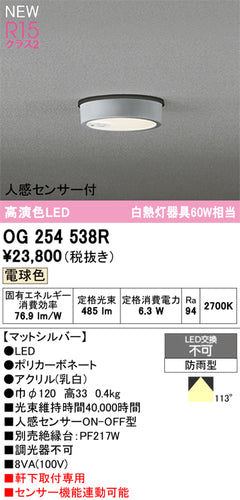 オーデリック（ODELIC）屋外灯 OG254538R