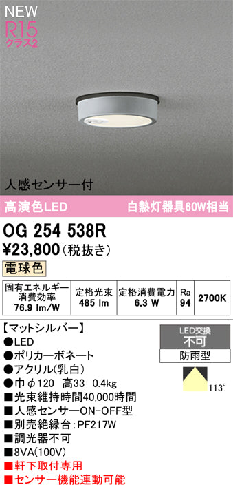 オーデリック（ODELIC）屋外灯 OG254538R