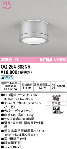 オーデリック（ODELIC）ポーチライト OG254603NR