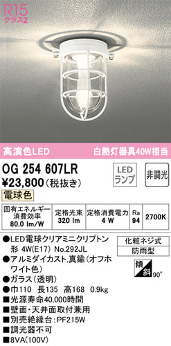 オーデリック（ODELIC）ポーチライト OG254607LR