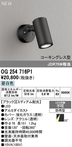 オーデリック（ODELIC）屋外灯 OG254716P1