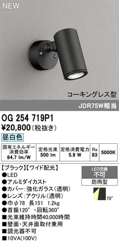 オーデリック（ODELIC）屋外灯 OG254719P1