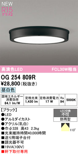 オーデリック（ODELIC）屋外灯 OG254809R