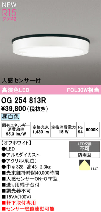 オーデリック（ODELIC）屋外灯 OG254813R