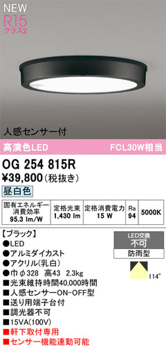 オーデリック（ODELIC）屋外灯 OG254815R