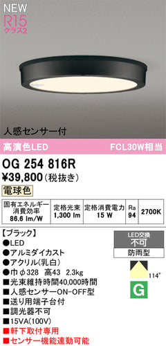オーデリック（ODELIC）屋外灯 OG254816R