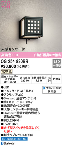 オーデリック（ODELIC）ポーチライト OG254830BR