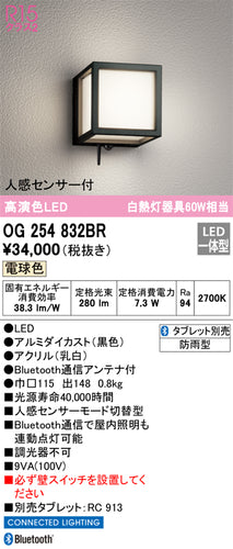 オーデリック（ODELIC）ポーチライト OG254832BR