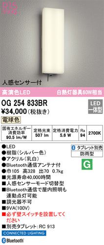 オーデリック（ODELIC）ポーチライト OG254833BR