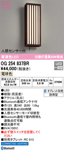 オーデリック（ODELIC）ポーチライト OG254837BR