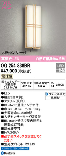 オーデリック（ODELIC）ポーチライト OG254838BR