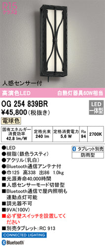 オーデリック（ODELIC）ポーチライト OG254839BR