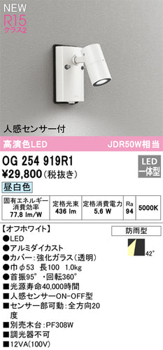 オーデリック（ODELIC）屋外灯 OG254919R1