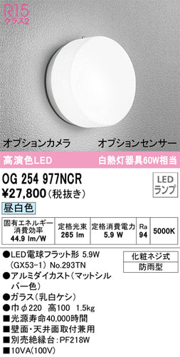 オーデリック（ODELIC）ポーチライト OG254977NCR