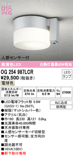 オーデリック（ODELIC）ポーチライト OG254987LCR