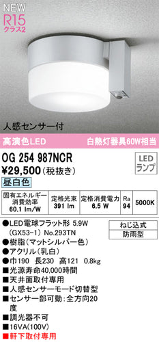 オーデリック（ODELIC）ポーチライト OG254987NCR