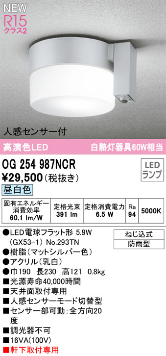 オーデリック（ODELIC）ポーチライト OG254987NCR