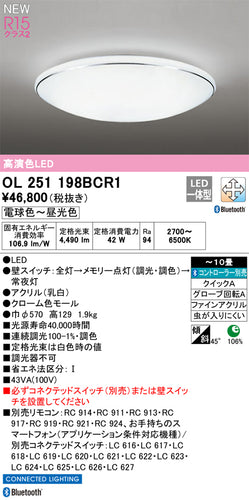 オーデリック（ODELIC）シーリングライト OL251198BCR1
