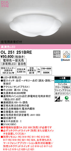 オーデリック（ODELIC）シーリングライト OL251251BRE