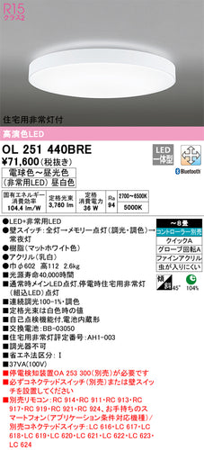 オーデリック（ODELIC）シーリングライト OL251440BRE