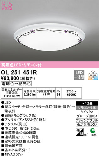 オーデリック（ODELIC）シーリングライト OL251451R