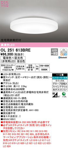 オーデリック（ODELIC）シーリングライト OL251613BRE