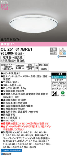 オーデリック（ODELIC）シーリングライト OL251617BRE1
