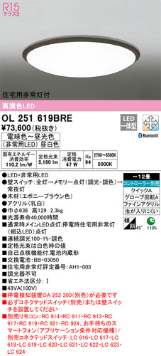 オーデリック（ODELIC）シーリングライト OL251619BRE