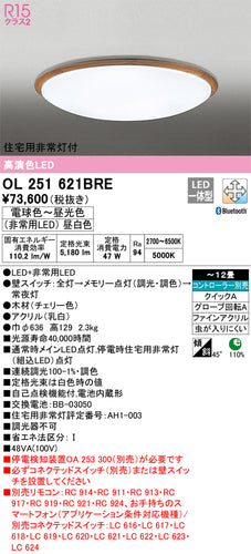 オーデリック（ODELIC）シーリングライト OL251621BRE