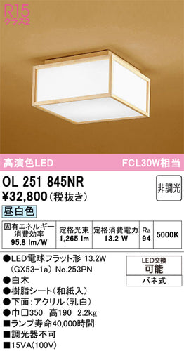オーデリック（ODELIC）シーリングライト OL251845NR