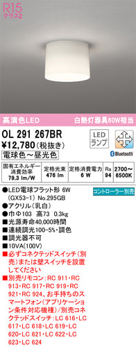 オーデリック（ODELIC）シーリングライト OL291267BR