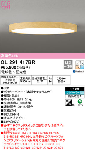 オーデリック（ODELIC）シーリングライト OL291417BR
