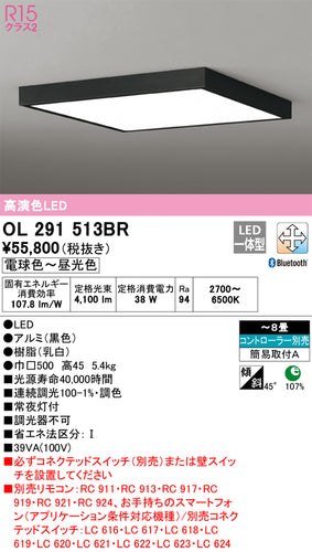 オーデリック（ODELIC）シーリングライト OL291513BR