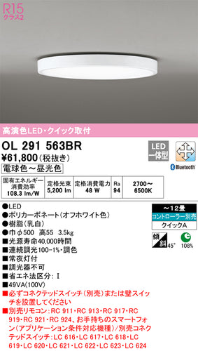 オーデリック（ODELIC）シーリングライト OL291563BR