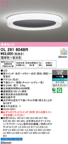 オーデリック（ODELIC）シーリングライト OL291604BR