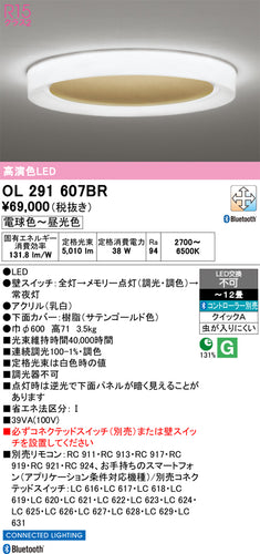オーデリック（ODELIC）シーリングライト OL291607BR