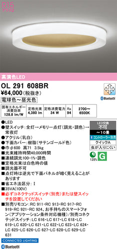 オーデリック（ODELIC）シーリングライト OL291608BR