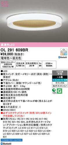 オーデリック（ODELIC）シーリングライト OL291609BR