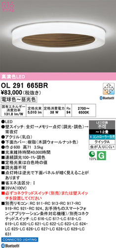 オーデリック（ODELIC）シーリングライト OL291665BR
