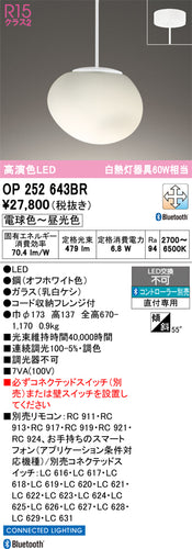 オーデリック（ODELIC）ペンダント OP252643BR