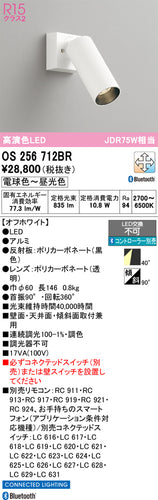 オーデリック（ODELIC）スポットライト OS256712BR