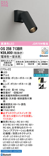 オーデリック（ODELIC）スポットライト OS256713BR