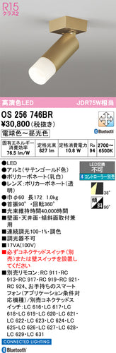 オーデリック（ODELIC）スポットライト OS256746BR